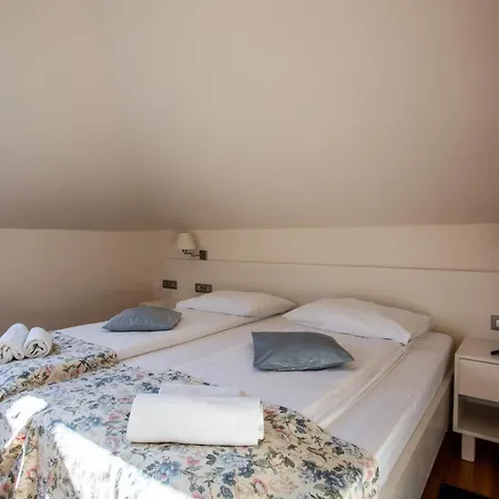 Pleter Hotel 4*